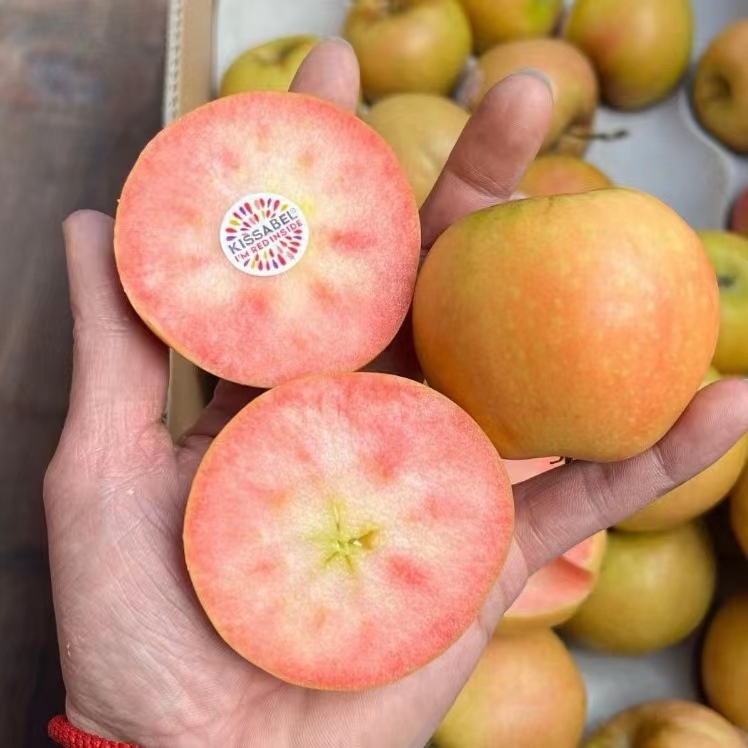 法国Kissabel(奇色百乐)苹果